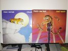 TYGERS OF PAN TANG CRAZY NIGHTS & SPELLBOUND VINYL SET