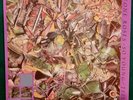 Rare Stone Roses - So Young/Tell Me 12