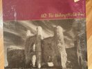 OPENED-- ISLAND RECORDS- U2 