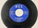 The Termites 1964 DOO WOP 45 Give Me Your Heart / Carrie Lou BEE VG to VG+ HEAR