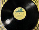 Tyrone Evans Sings Bullwackies Style Wackies RARE OG LP