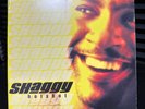 Shaggy Hot Shot 12 Vinyl 2000 US Original 2LP MCA Record Pee Wee Rayvon Japan