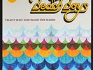 The Beach Boys That's Why God Made The Radio LP Album Vinyl Schallplatte 0140