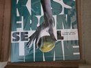 Kiss From a Lime - Seal x Mountain Dew - Vinyl 45 Record (unopened )