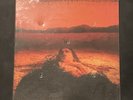 Alice in Chains - Dirt LP Deluxe Box Set 2023 Columbia [30th Anniversary] EX/EX