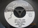 THE NIGHT RAIDERS FEAT MICKEY HAWKS 