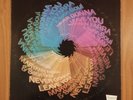 Maryann Farra and Satin Soul NEVER SKIRT LEAVE YOU Brunswick BL754207