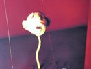 JULEE CRUISE - The Voice Of Love, Vinyl LP