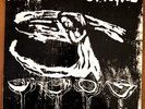 Rites of Spring - Debut LP - Dischord #16 harDCore punk - 1985 First Press - NM