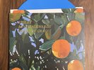 Lana Del Rey Violet Bent Backwards Over The Grass Vinyl