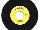 THE JAMMERS / I FEEL A PAIN / DUB / 7''
