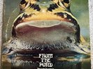FROGGIE BEAVER - From The Pond - 1973 Prog Rock DSI 7301 - VG+ Vinyl LP