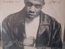 Jay- Z  - In My Lifetime, VOL.1  (Double LP;inklusive Wishing On A Star Single)