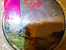 NASTY SAVAGE: Indulgence picture lp , rare orig.picture disc, SLAYER,OMEN,EXODUS