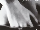 Suede Let Go Single (Vinyl) (UK IMPORT)