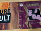 THE CULT - PURE CULT   The Singles 1984/1995   2LP & She Sells Sanctuary 12