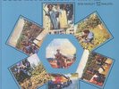 MARLEY, Bob & THE WAILERS - Soul Revolution II (reissue) - smoky blue vinyl LP