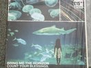Bring me the Horizon Count Your Blessings Vinyl Misprint black mint  READ DES