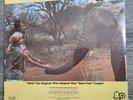 AN ELEPHANT CALLED SLOWLY SOUNDTRACK HOWARD BLAKE 1970 BELL ORIGINAL PRESS NEW