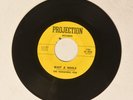 The Remaining Few Wait A While & Boogie Blues Projection 1784 TX Garage Psych 45