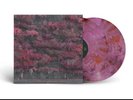 Sleep Token - EVEN IN ARCADIA Glass of Port Pink Vinyl x/3000 *CONFIRMED*