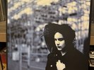 JACK WHITE BLUNDERBUSS TMR-139 LIGHTING BOLT BLACK WITH BLUE BOLT