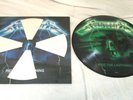 Metallica Green Picture Disc, 