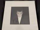 Peter Gabriel Shaking The Tree Sixteen Golden Greats Vinyl 2002