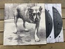 Alice In Chains Vinyl Record 1995 Self-Titled Columbia ORIGINAL 481114 1