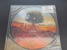 Opeth - Heritage - 1st Press Picture Disc - 2011 - Limited Only 500 Copies