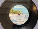 JUNIOR ROSS & THE SPEARS - BABYLON FALL rare UK 1976 / ROOTS REGGAE / EX+++