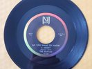 THE BEATLES US 45 VEE JAY VJ 587 DO YOU WANT TO KNOW A SECRET 587.02C