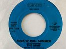 Unknown Private Power Pop 45 THE SURF Rock 'N Roll Summer/Wipe Out 456 HEAR