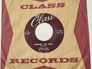 Steve Kass Lovelarks DOOWOP 45 Darling My Love/You Made A BooBoo CLASS VG++ HEAR