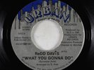 Modern Soul Boogie 45 - Redd Davis - What You Gonna Do - Urban