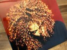 Janet Jackson The Velvet Rope Online Exclusive Limited Edition 2x LP Red Vinyl