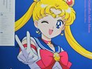 Sailor Moon Soundtrack Vinyl, Pretty Guardian Record, Pink 2LP