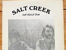 Vtg 77' Salt CREEK Just About Due LP Psych Acid Folk Michigan Private Press Rock