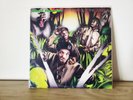 Jungle Brothers - Straight Out The Jungle (LP) Original