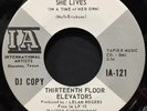 THIRTEENTH FLOOR ELEVATORS   SHE LIVES (US ORIGINAL)