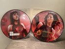 The Hunger Games Catching Fire Rare Vinyl Picture Disc Record Set B0019111-01