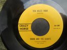 DAVID AND THE GIANTS Ten Miles High Northern Soul Crazy Horse Reissue 1974 VG++