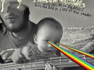 Doing Dark Side of the Moon by Flaming Lips - Open clear green Vinyl VG+/VG+