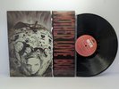 MOTHER LOVE BONE - Apple - 1990 Grunge - Polydor – 843 191-1 - 2020 Import - NM