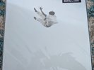 Daniel Caesar Pilgrim’s Paradise Secondtrack Exclusive Vinyl IN HAND