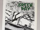 Green Day ‎- 39/Smooth 1990 LP Record Vinly 12
