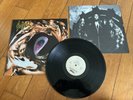 SADUS -a vision of misery 1992  EUROPE LP death metal testament