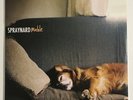 Spraynard Mable LP Orange Vinyl Jade Tree Records 2015 Rarely Player Photos