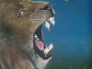 LIONS PRIDE - Breaking Out - Vinyl (blue vinyl LP + 7
