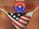 The Black Crowes Amorica WHITE American Recordings Vinyl LP 1994